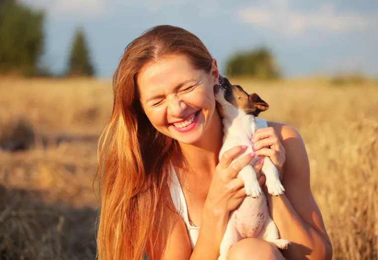 Pourquoi mon chien me lèche : Comprendre les raisons pour lesquelles votre chien vous lèche