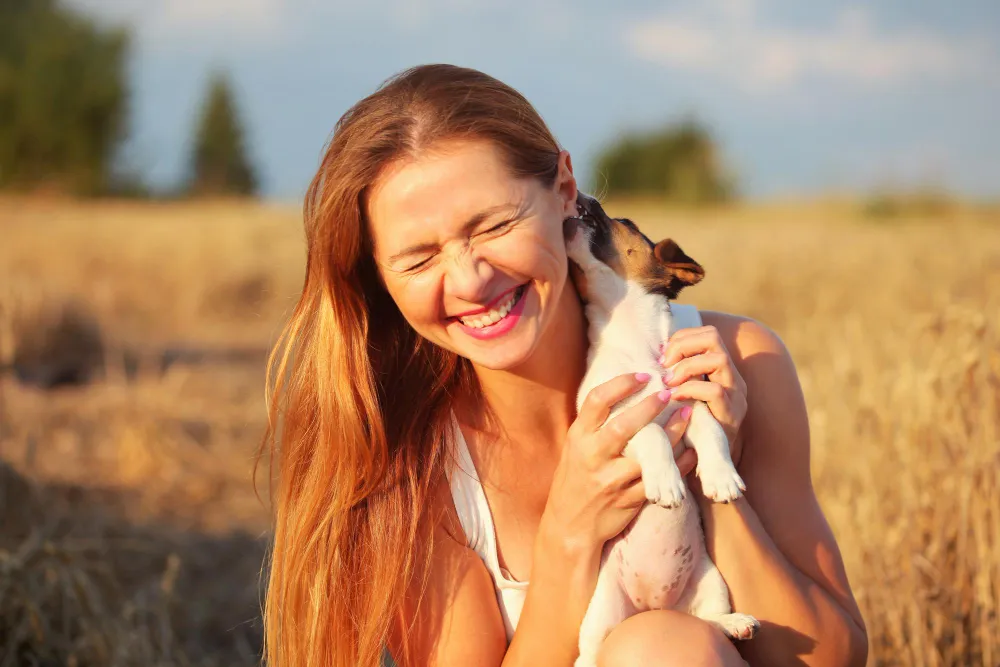 Pourquoi mon chien me lèche : Comprendre les raisons pour lesquelles votre chien vous lèche