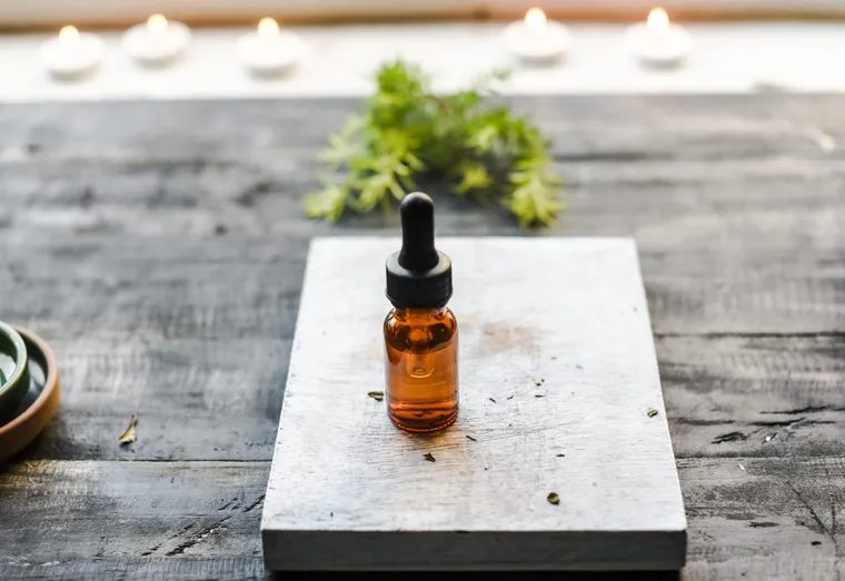Aromathérapie pour les animaux de compagnie : soulager et apaiser nos amis à quatre pattes