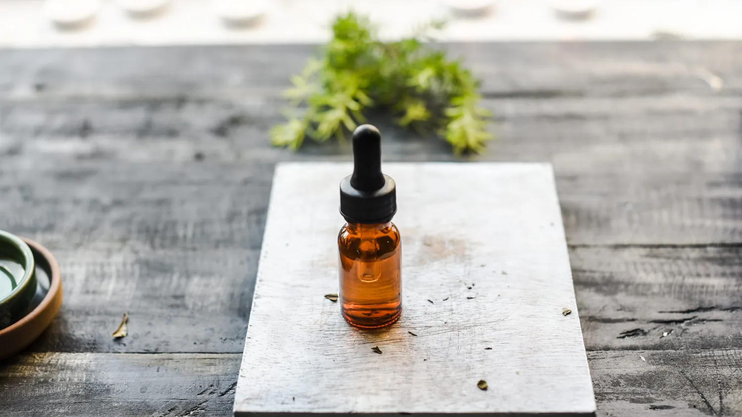Aromathérapie pour les animaux de compagnie : soulager et apaiser nos amis à quatre pattes