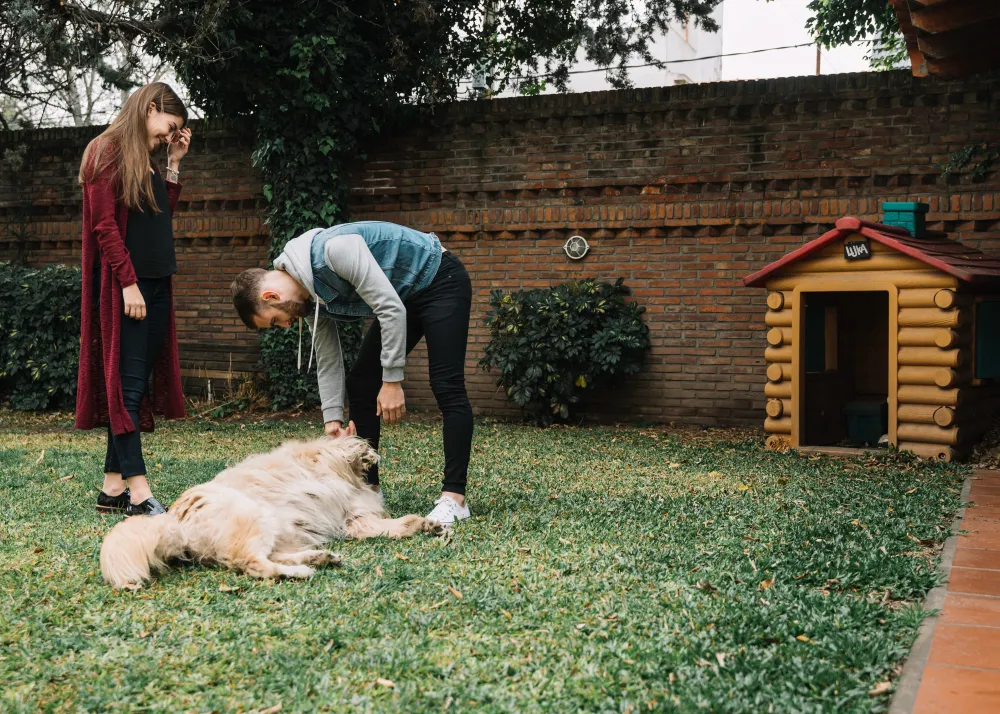 Comment choisir le bon partenaire pour construire un parc à chiots et un enclos pour chiens adapté