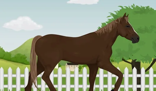 jeux gratuits de cheval