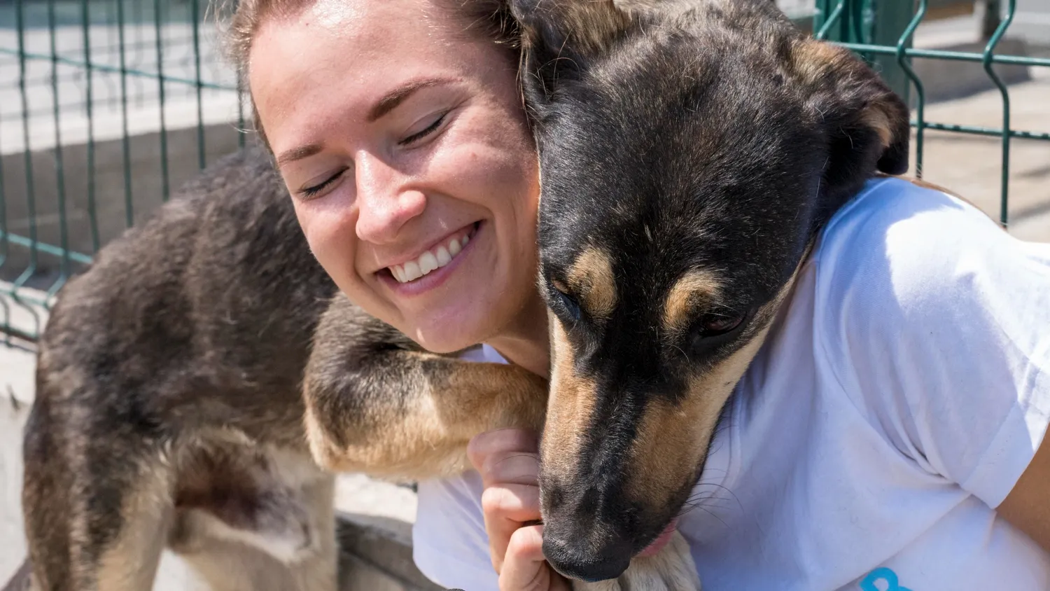 Éthique Animale : Comprendre les Enjeux de la Protection et du Bien-être des Animaux