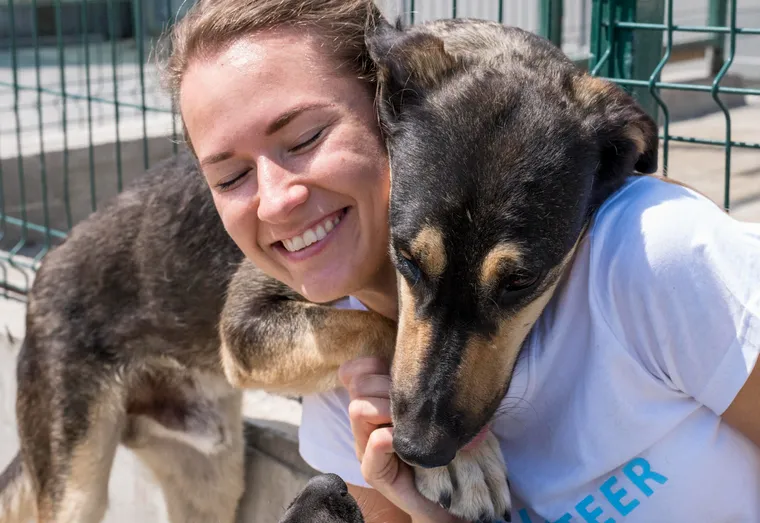 Éthique Animale : Comprendre les Enjeux de la Protection et du Bien-être des Animaux