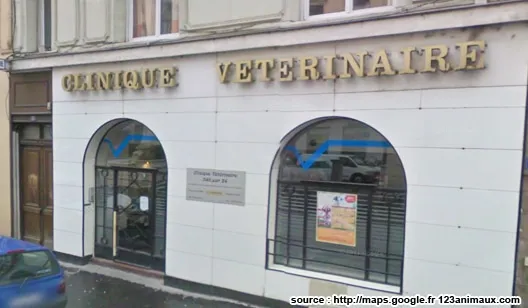 Clinique vétérinaire à lyon