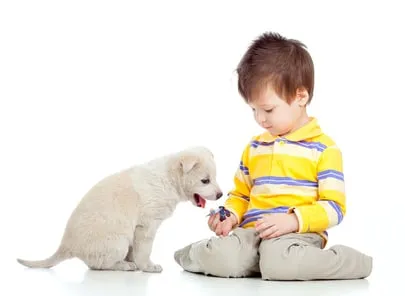 Les chiens, protecteurs des enfants contre certaines pathologies médicales ?