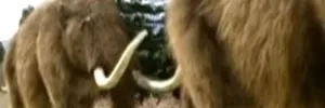 videos animaux prehistoriques