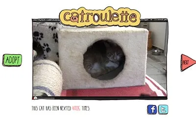 Catroulette, un site de rencontre pour les chats ?